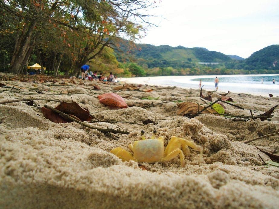 Melhores praias perto de São Paulo para ir de carro: destinos, rotas e dicas