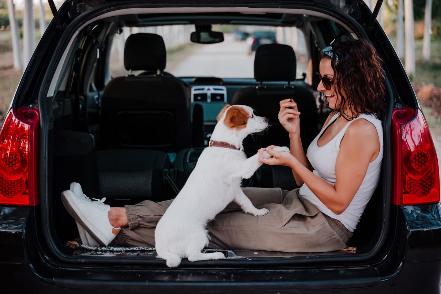 Guia pet friendly em SP e região: onde passear, viajar e se hospedar com seu pet
